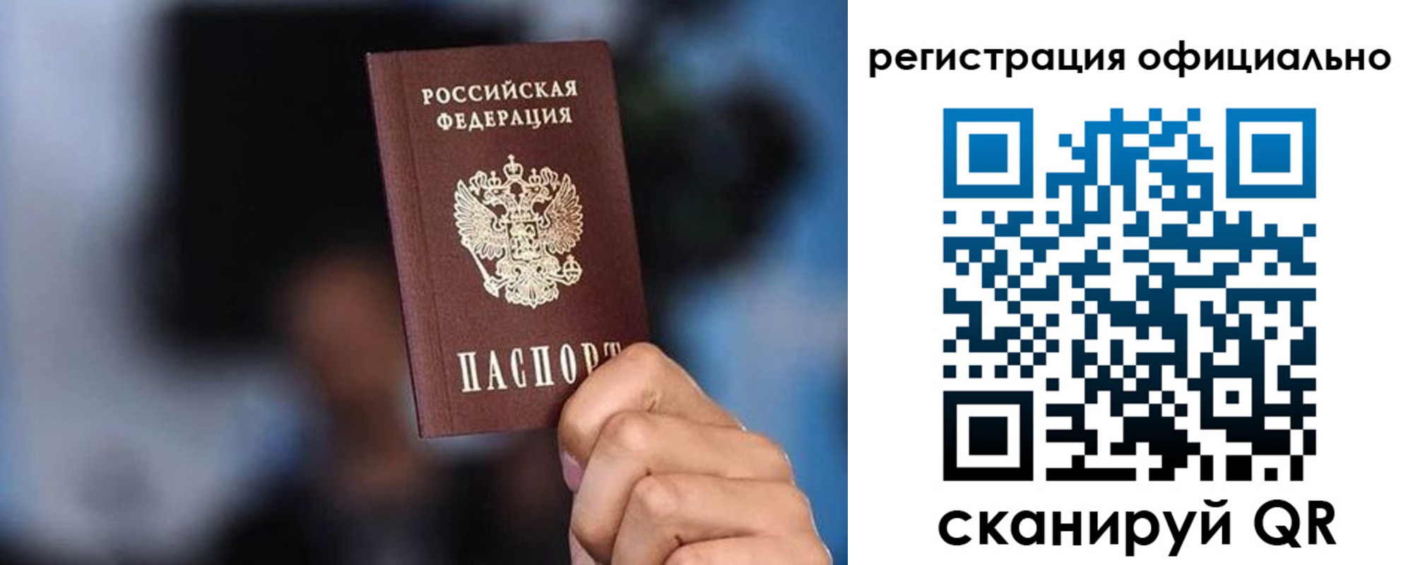 прописка гарантия в Шатуре